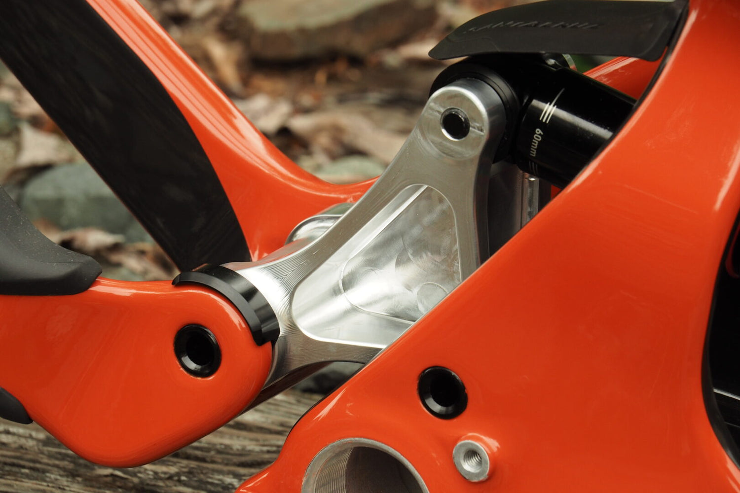 Santa Cruz Linkages